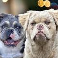 Img 4747