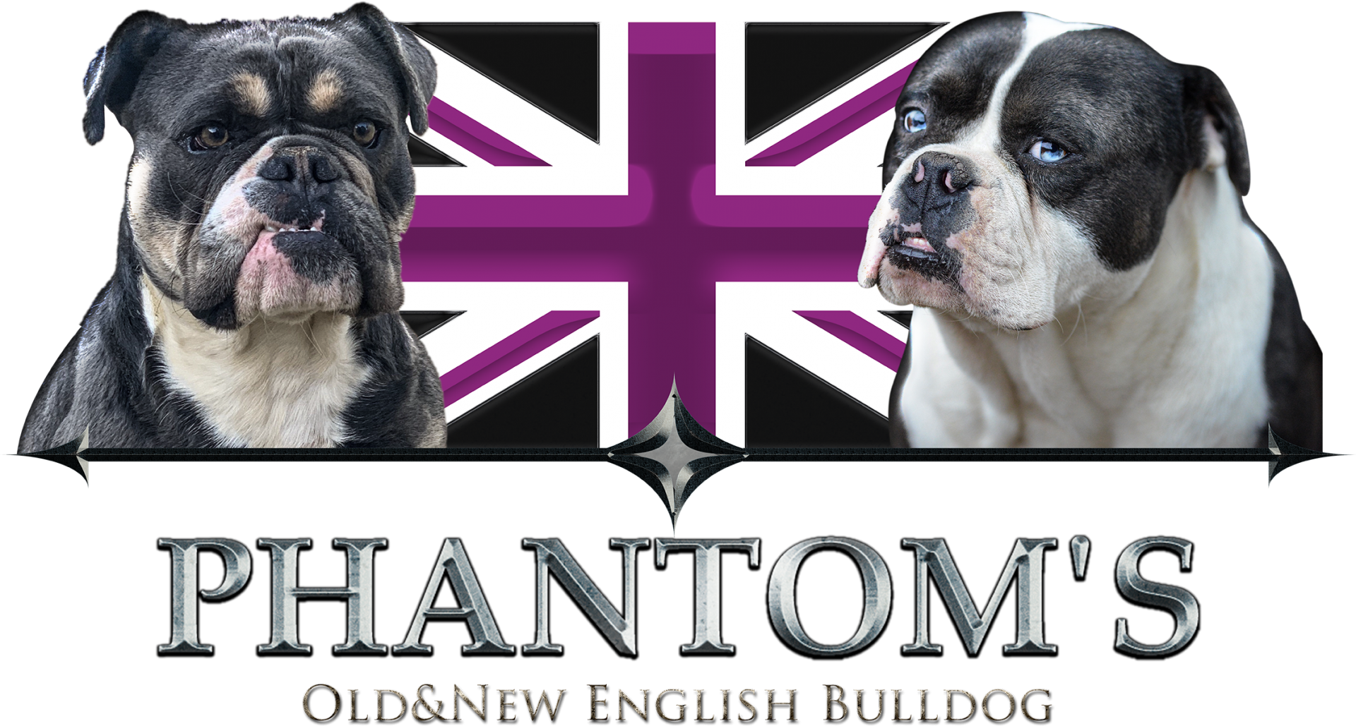 Phantom s logo