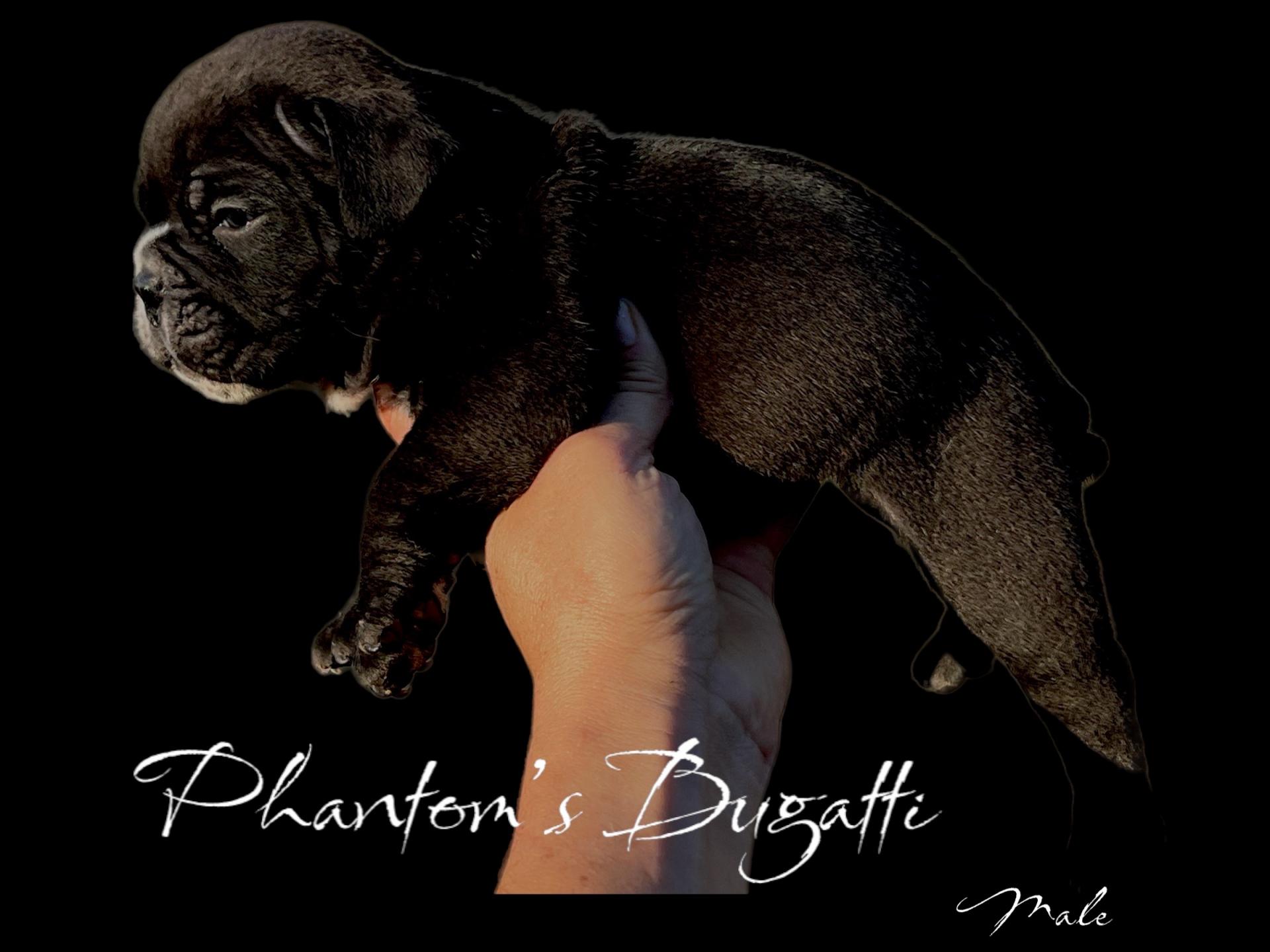Photoroom 20221111 221415 2