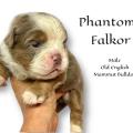 Photoroom 20221118 150156