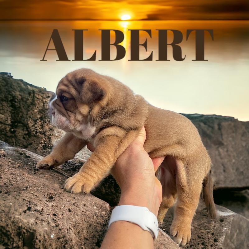 Photoroom 20240104 132906